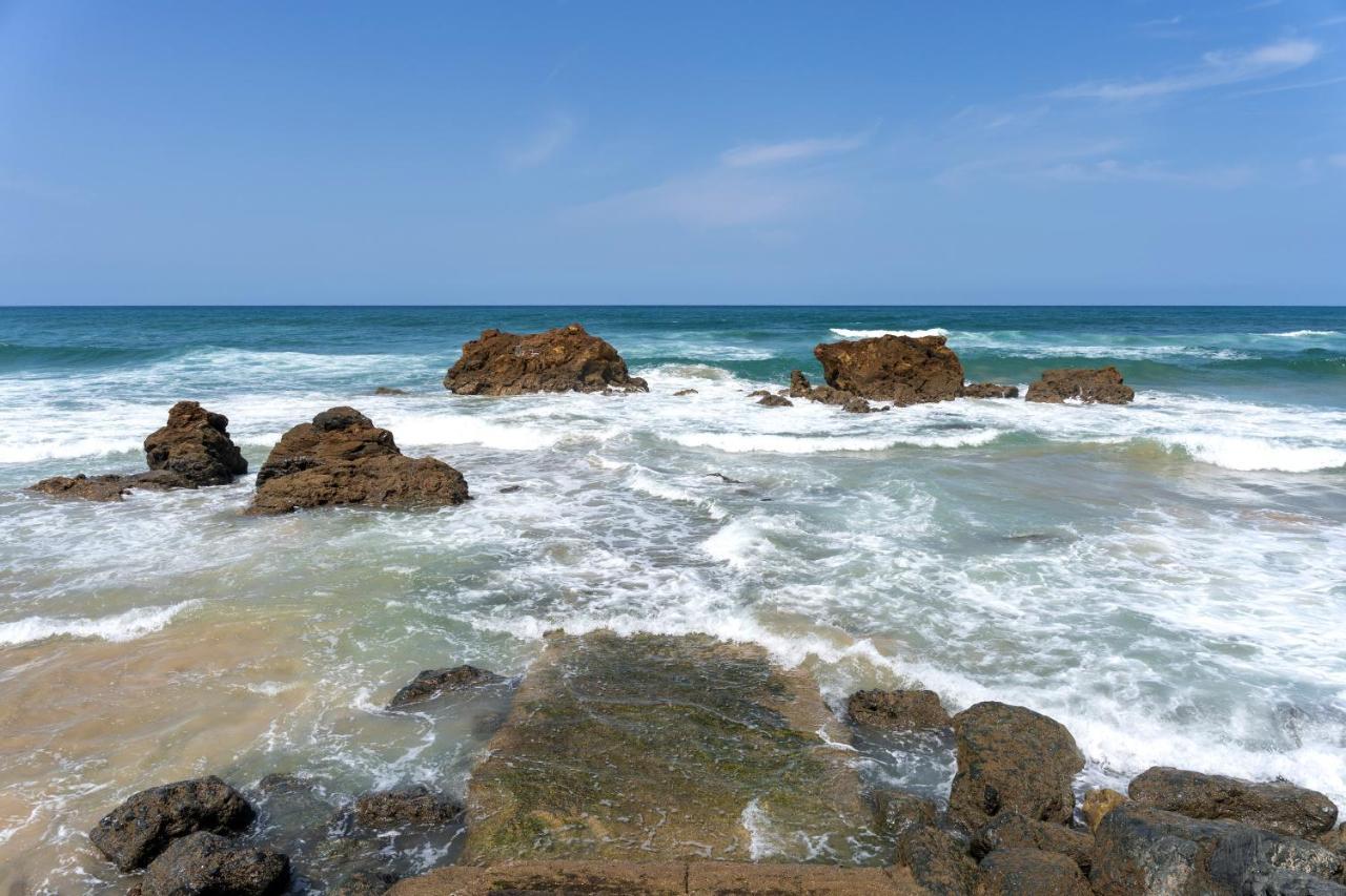 Appartement La Coline Bleue Biarritz Dış mekan fotoğraf